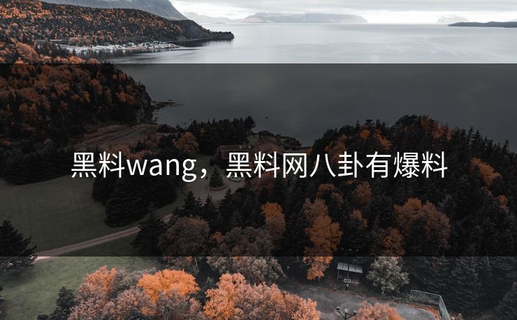 黑料wang，黑料网八卦有爆料  第1张