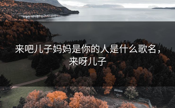 来吧儿子妈妈是你的人是什么歌名，来呀儿子  第1张