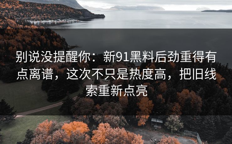 别说没提醒你：新91黑料后劲重得有点离谱，这次不只是热度高，把旧线索重新点亮  第1张