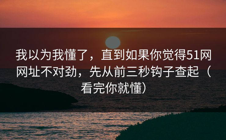 我以为我懂了，直到如果你觉得51网网址不对劲，先从前三秒钩子查起（看完你就懂）