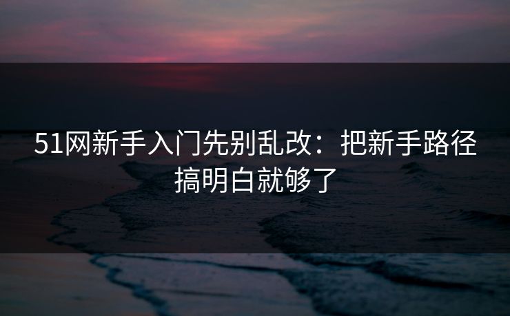 51网新手入门先别乱改：把新手路径搞明白就够了  第1张