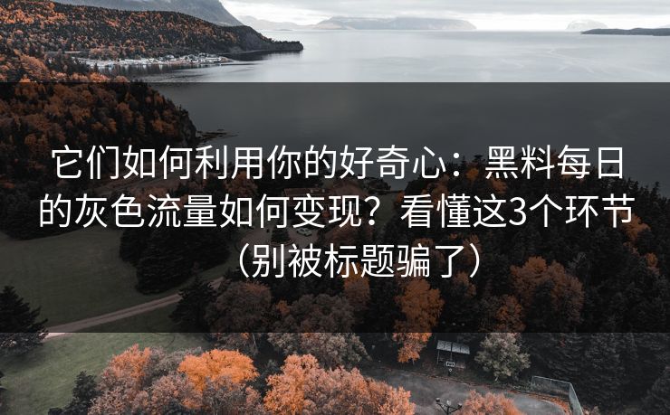 它们如何利用你的好奇心：黑料每日的灰色流量如何变现？看懂这3个环节（别被标题骗了）  第1张